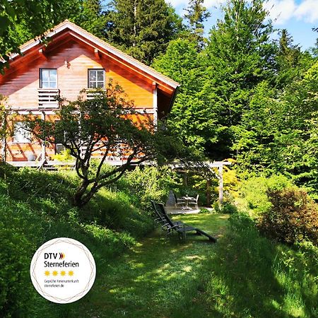 Ferienwohnung Am Woid - Herrliche Alleinlage - Vegane Einrichtung Waldkirchen Exterior photo