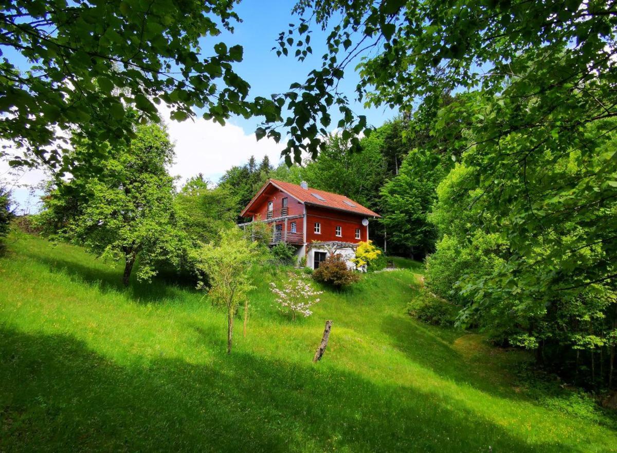 Ferienwohnung Am Woid - Herrliche Alleinlage - Vegane Einrichtung Waldkirchen Exterior photo