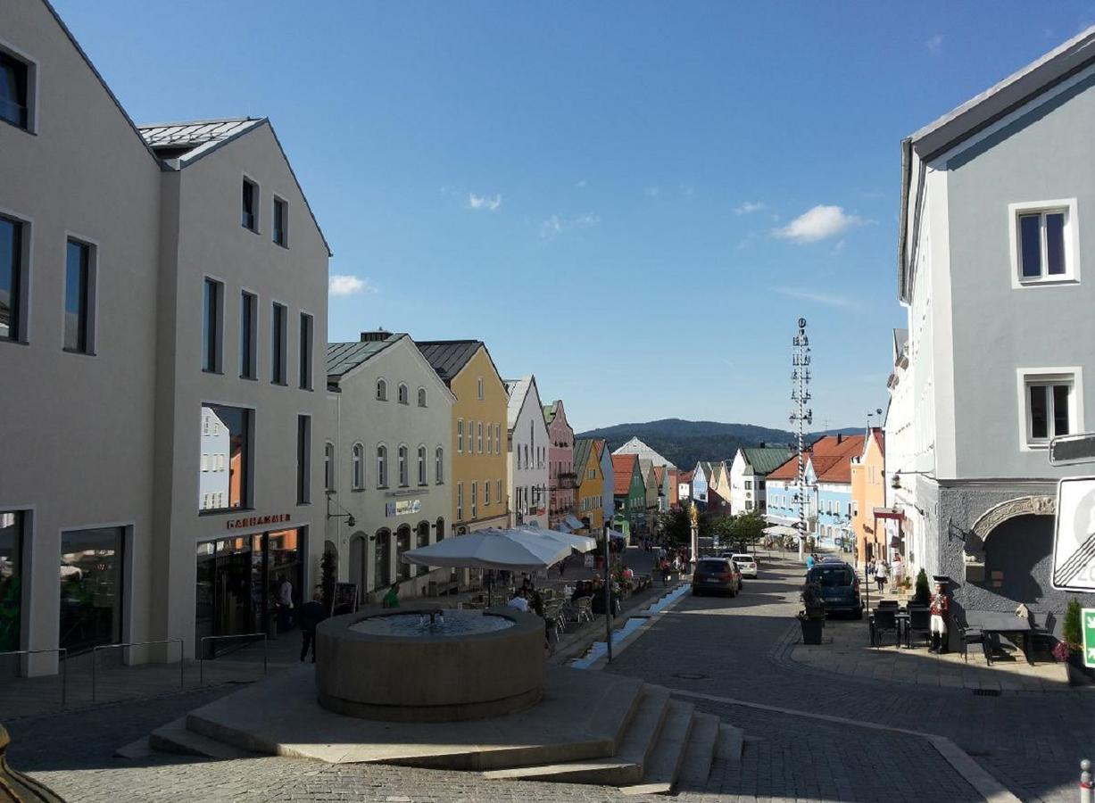 Ferienwohnung Am Woid - Herrliche Alleinlage - Vegane Einrichtung Waldkirchen Exterior photo